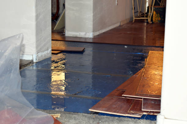 Professional Basement Flood Cleanup technician working in Hadley, PA